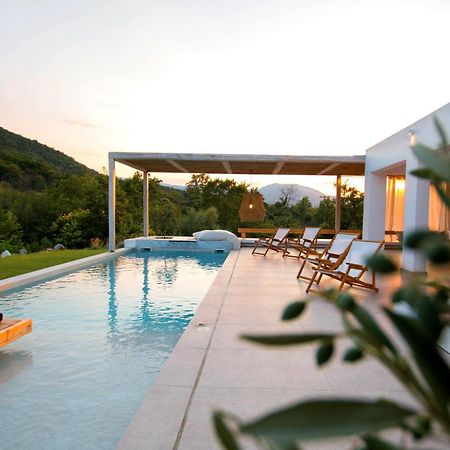 Aristotelia Gi - Premium Luxury Villas With Private Pools Olympiada Exterior photo